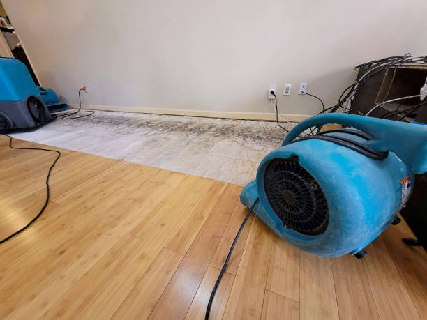 Professional Sewage Cleanup technician working in Pleasant Hill, MS